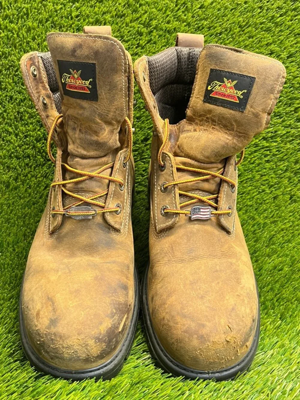 Thorogood Genesis Series 6